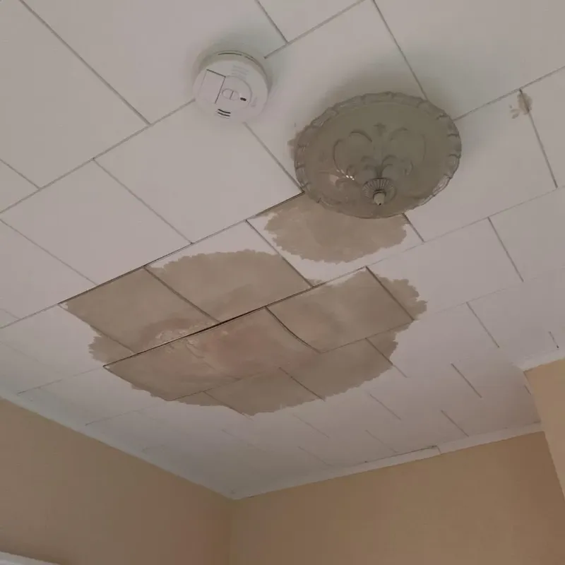 Ceiling Water Damage Repair in Coleman, TX