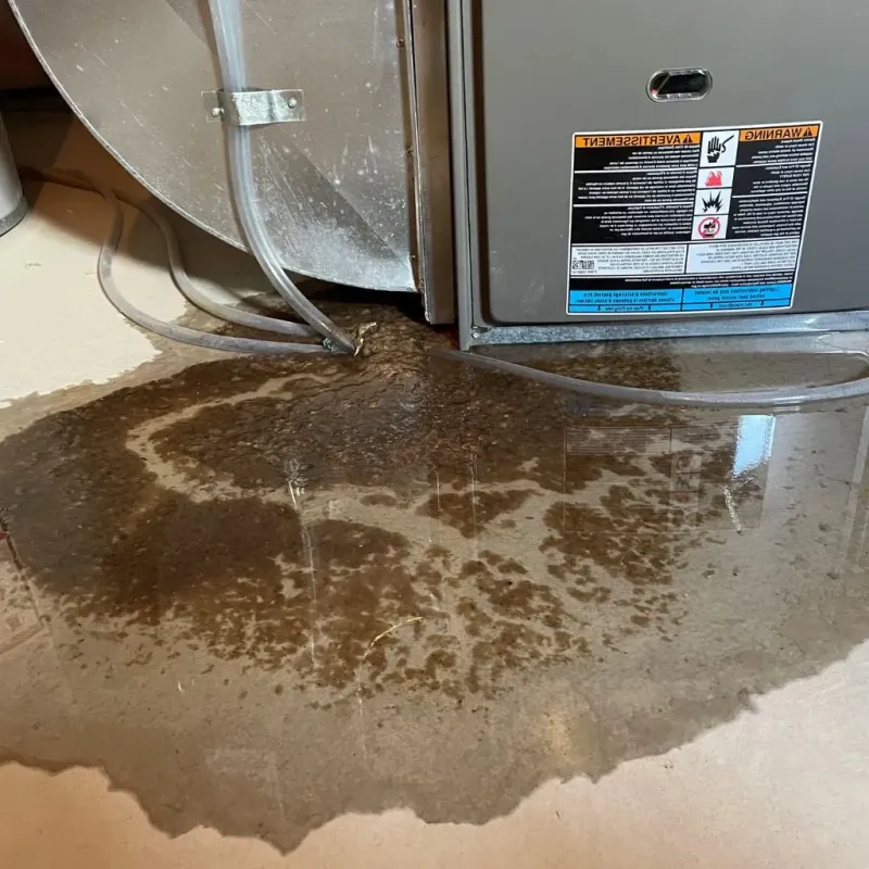 Pipe Burst and Leak Restoration in Coleman, TX