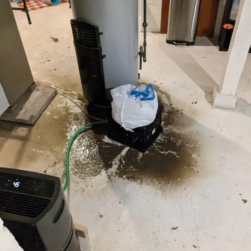 Sewage Backup Cleanup Service in Coleman, TX